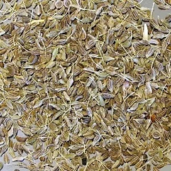 Carrot Seed