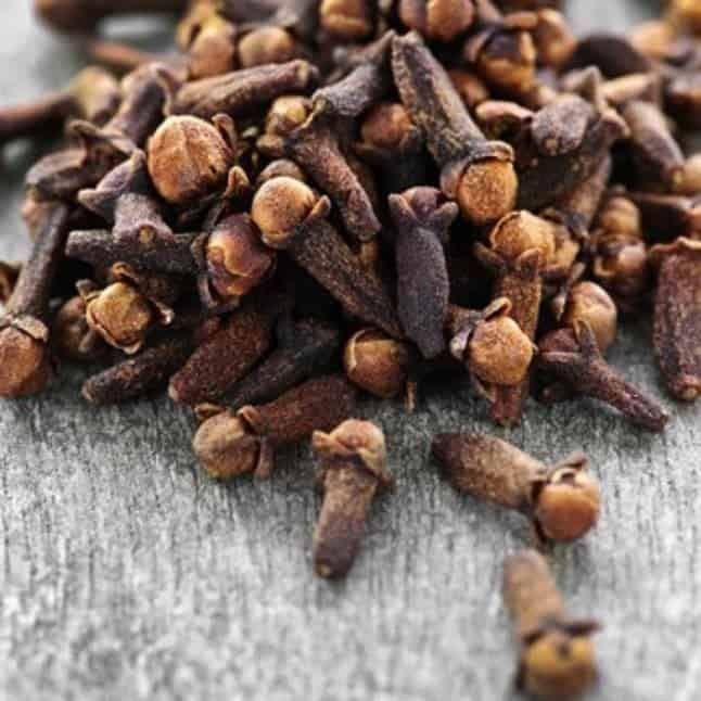 Clove Bud