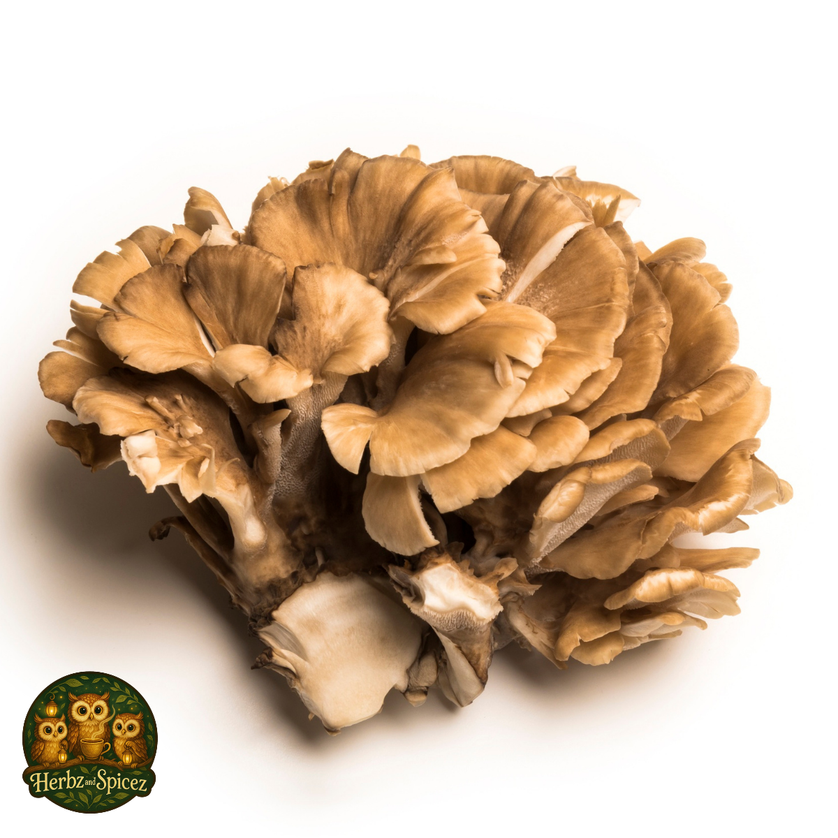 Maitake