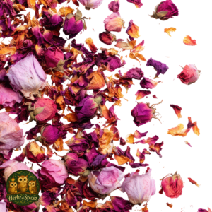 Rose, Red (Buds and Petals)