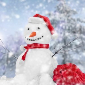 Frosty's Friend
