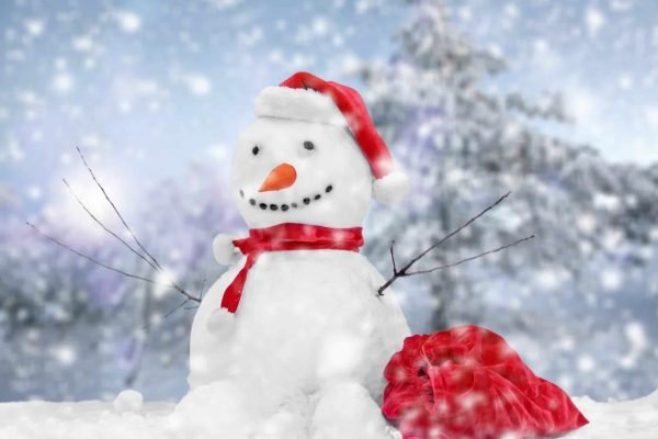Frosty's Friend