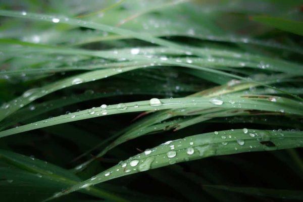 After the Rain