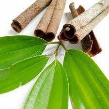 Cinnamon (Leaf)