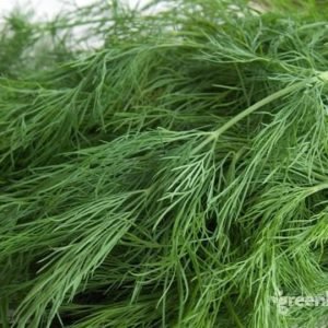 Dill