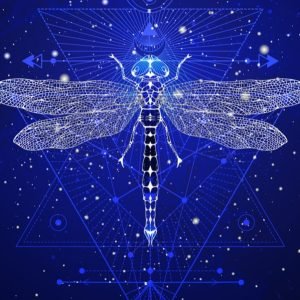 Dragonfly