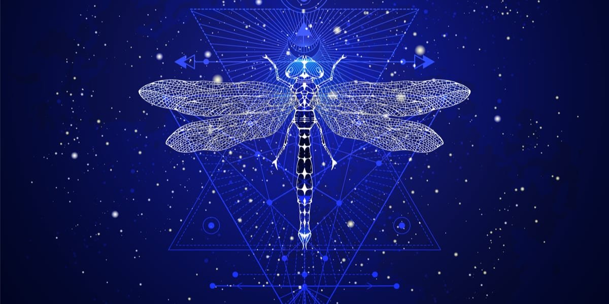 Dragonfly
