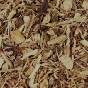 Echinacea Angustifolia (Root C/S)