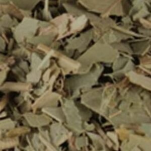 Eucalyptus Leaf