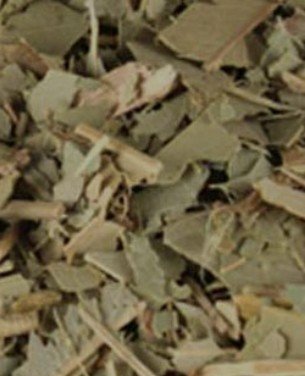 Eucalyptus Leaf