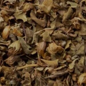 Holy Basil (Tulsi)