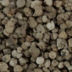 Vitex (Chaste) Berry