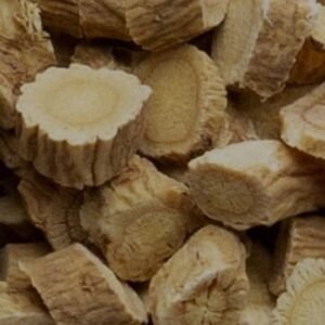Astragalus (Root Pieces C/S)