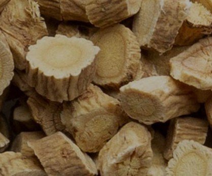 Astragalus (Root Pieces C/S)