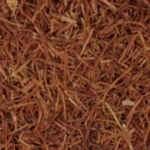 Cornsilk