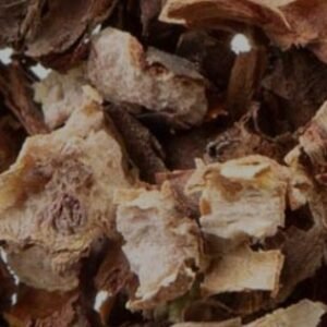 Rhodiola Root