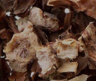 Rhodiola Root