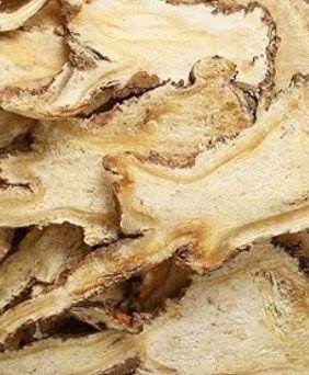 Dong Quai Root