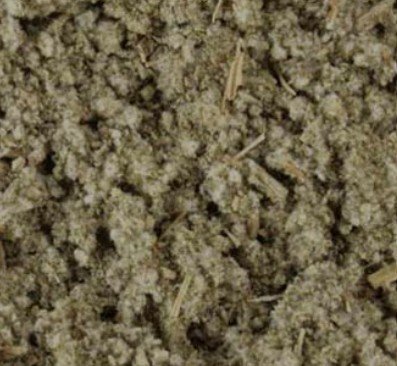 Sage (Leaf, Rubbed)