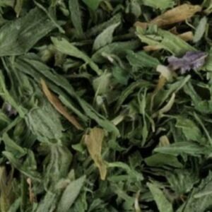 Alfalfa (Leaf C/S)