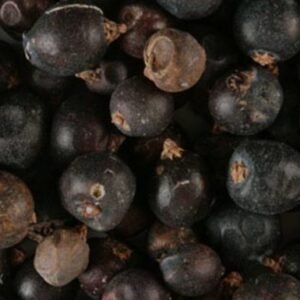 Juniper (Whole Berry)