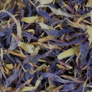 Cornflower