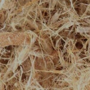 Slippery Elm (Inner Bark C/S)