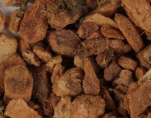 Cramp Bark