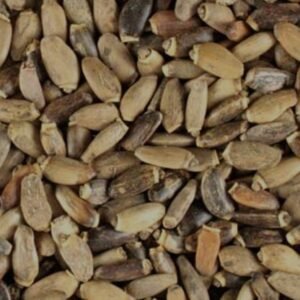Milk Thistle (Whole Seed)