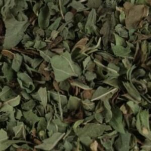 Lemon Balm (Herb C/S)