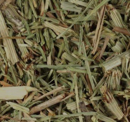 Horsetail (Shavegrass) (Herb C/S)