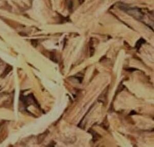 Angelica (Root Pieces C/S)