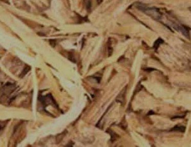 Angelica (Root Pieces C/S)