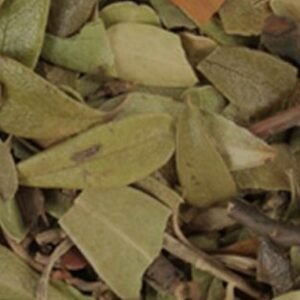 Uva Ursi (Leaf C/S)