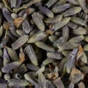 Lavender (Flower)