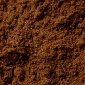 Chaga