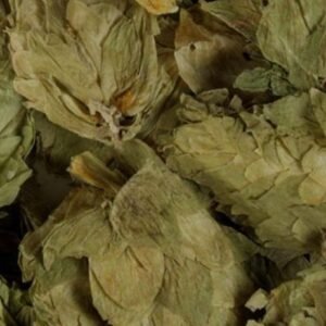 Hops (Flower)
