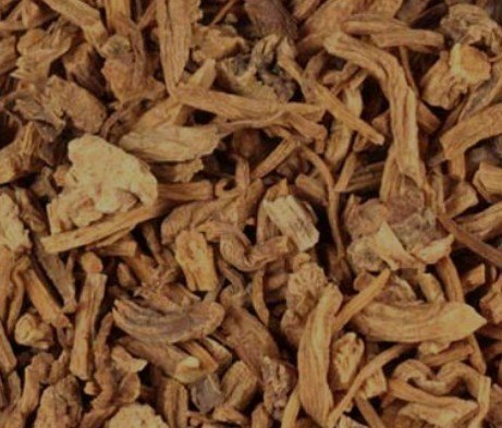 Gentian Root