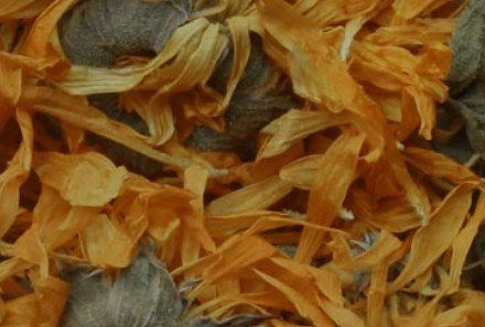 Calendula Flower