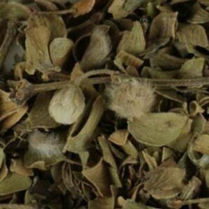 Chaparral Leaf