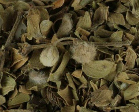 Chaparral Leaf