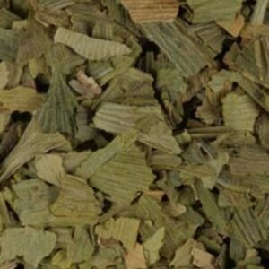 Ginkgo Leaf
