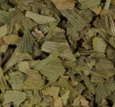 Ginkgo Leaf