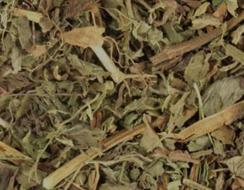 Stevia leaf
