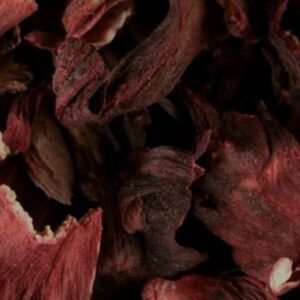 Hibiscus (Flower)