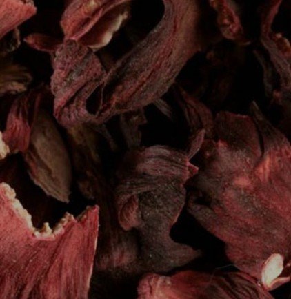 Hibiscus (Flower)