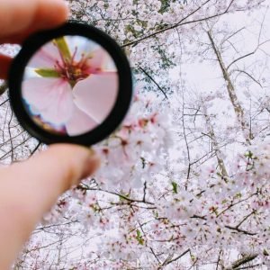 Mental Focus