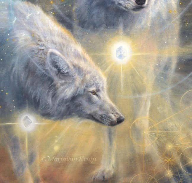 Wolf