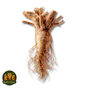 Ashwagandha root