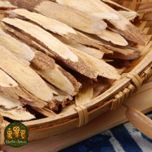 Astragalus (Root Pieces C/S)